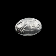 SMALL POLAR BEAR BROOCH W. A GREENLANDIC RUBY
